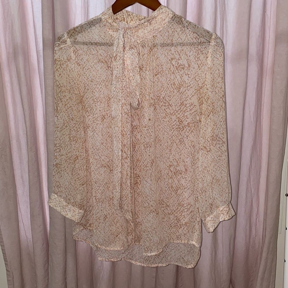 Sheer Blouse